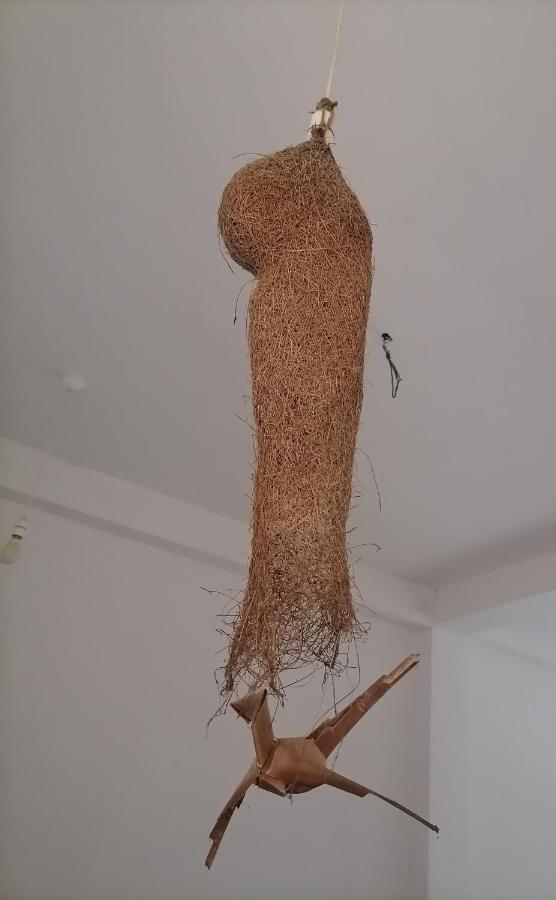Apartamento Hiriketiya Hasmal House Dikwella Sur Exterior foto